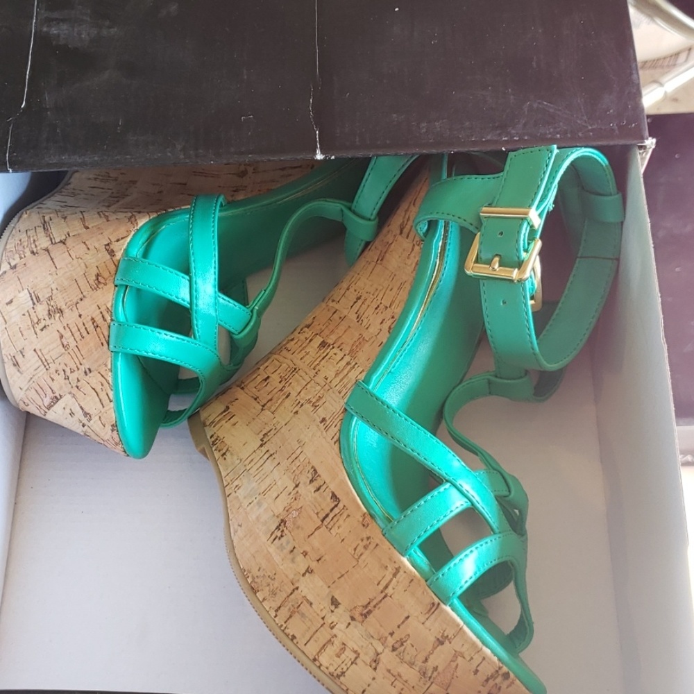 Teal wedges